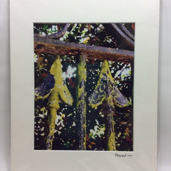 Rusted Iron Fence Color Photo Matted Art 11x14 Kaynard Photography Charleston SC - Picture 1 of 5